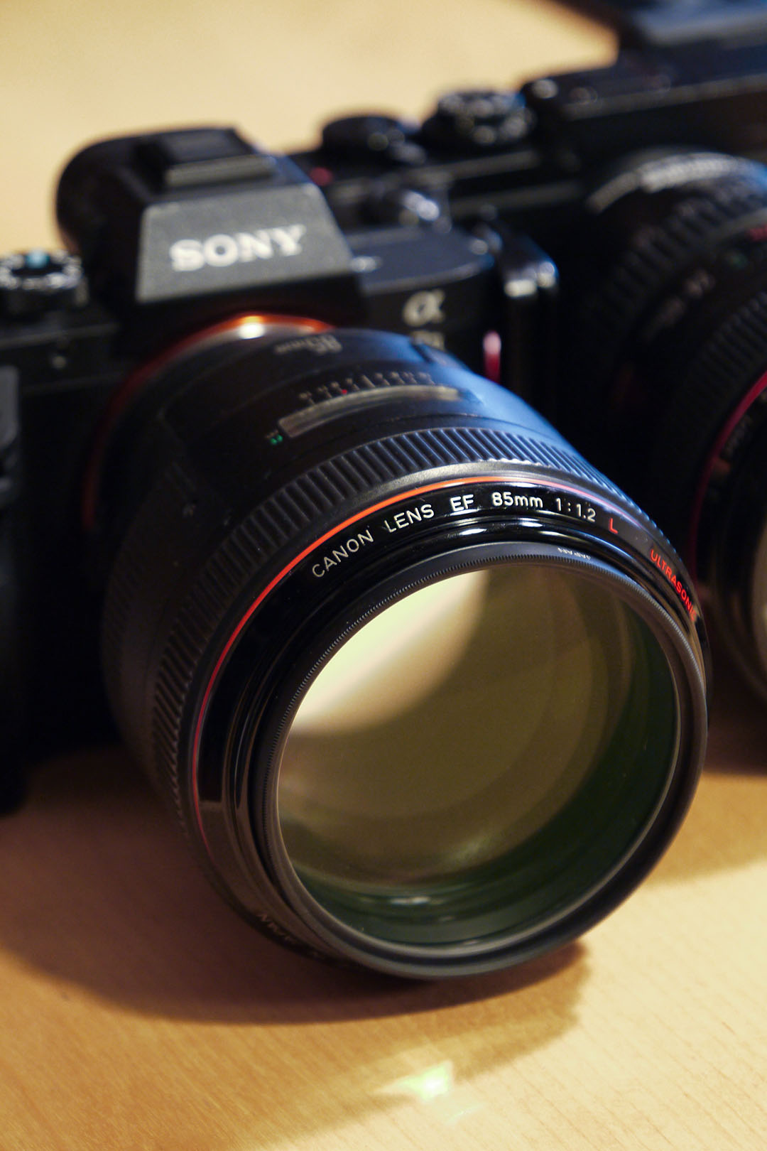 大口径中望遠単焦点レンズ Canon EF85mm F1.2L USM: thp_blog