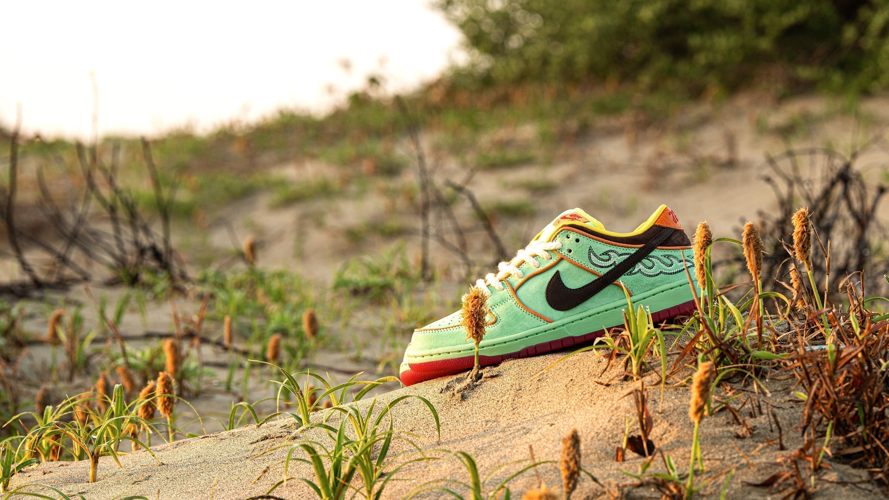 ナイキ スケートボーディング | NIKE SB DUNK LOW PRO QS 