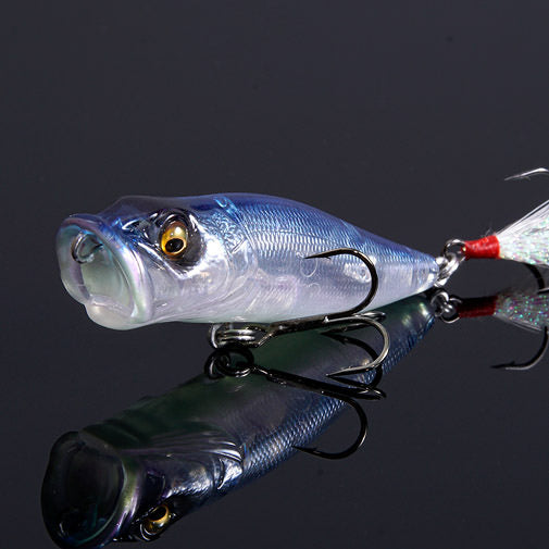 Megabass POP-X (SP-C)