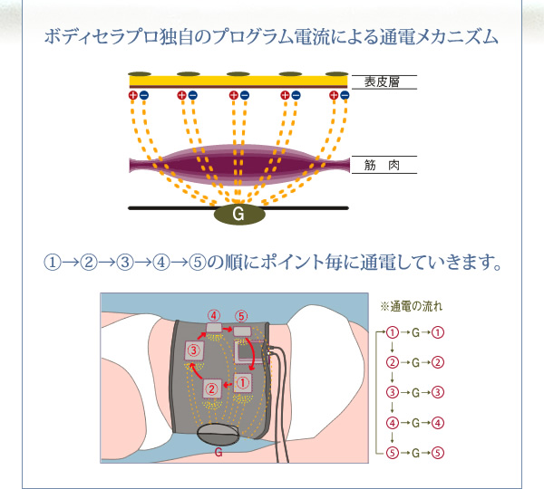 BODY THERA PRO(ボディセラプロ)-【業務用】回転式ポイント通電美容器