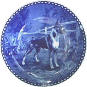 ドッグプレート - タカラダ