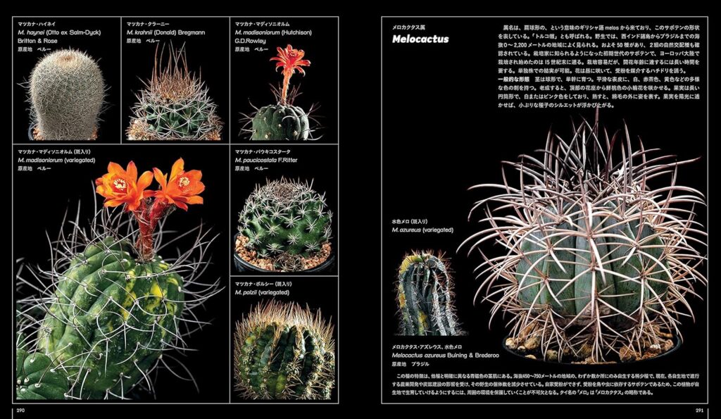 レビュー】『サボテン全書 All about CACTUS』｜プロも愛用する圧巻の