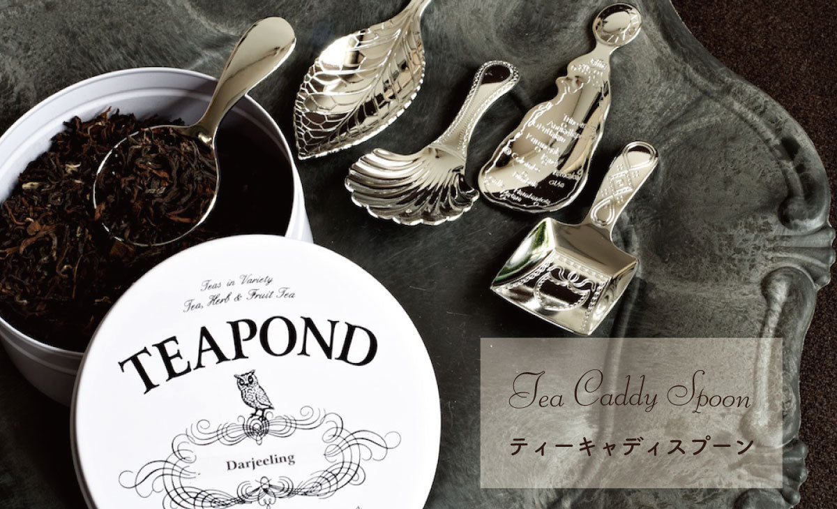 ティーキャディスプーン｜紅茶専門店TEAPOND ティーポンド