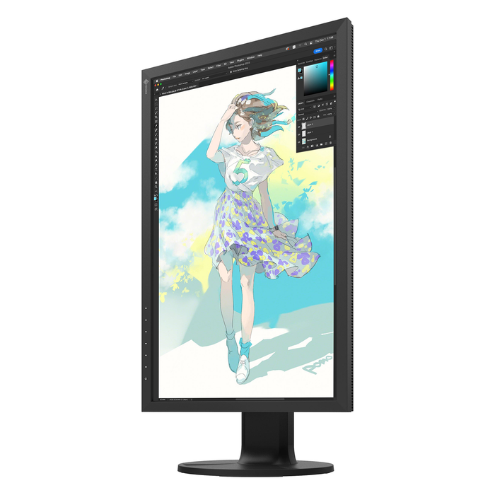 Eizo ColorEdge CS2400R 24 Inch Monitor — The Flash Centre