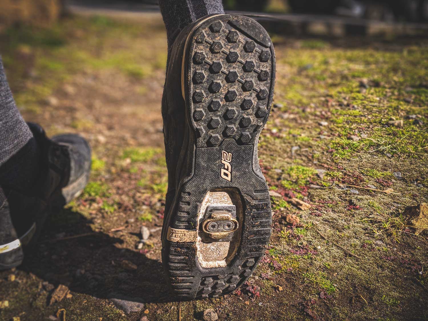 Specialized 2FO Cliplite Shoe Review