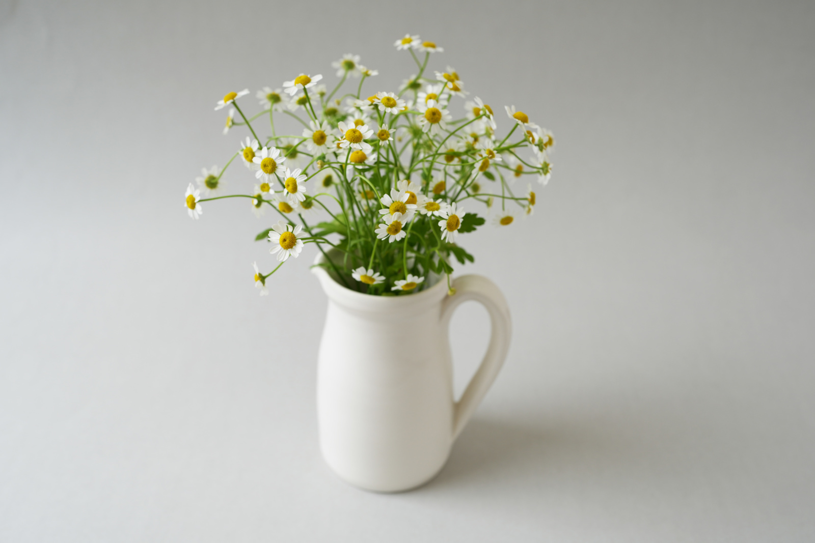 河合竜彦 作品展 – chain of curved lines N.3 - JOURNAL - THE STABLES