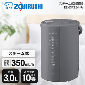 アウトレット】象印 EE-DE50-HA グレー [スチーム式加湿器 (木造8畳