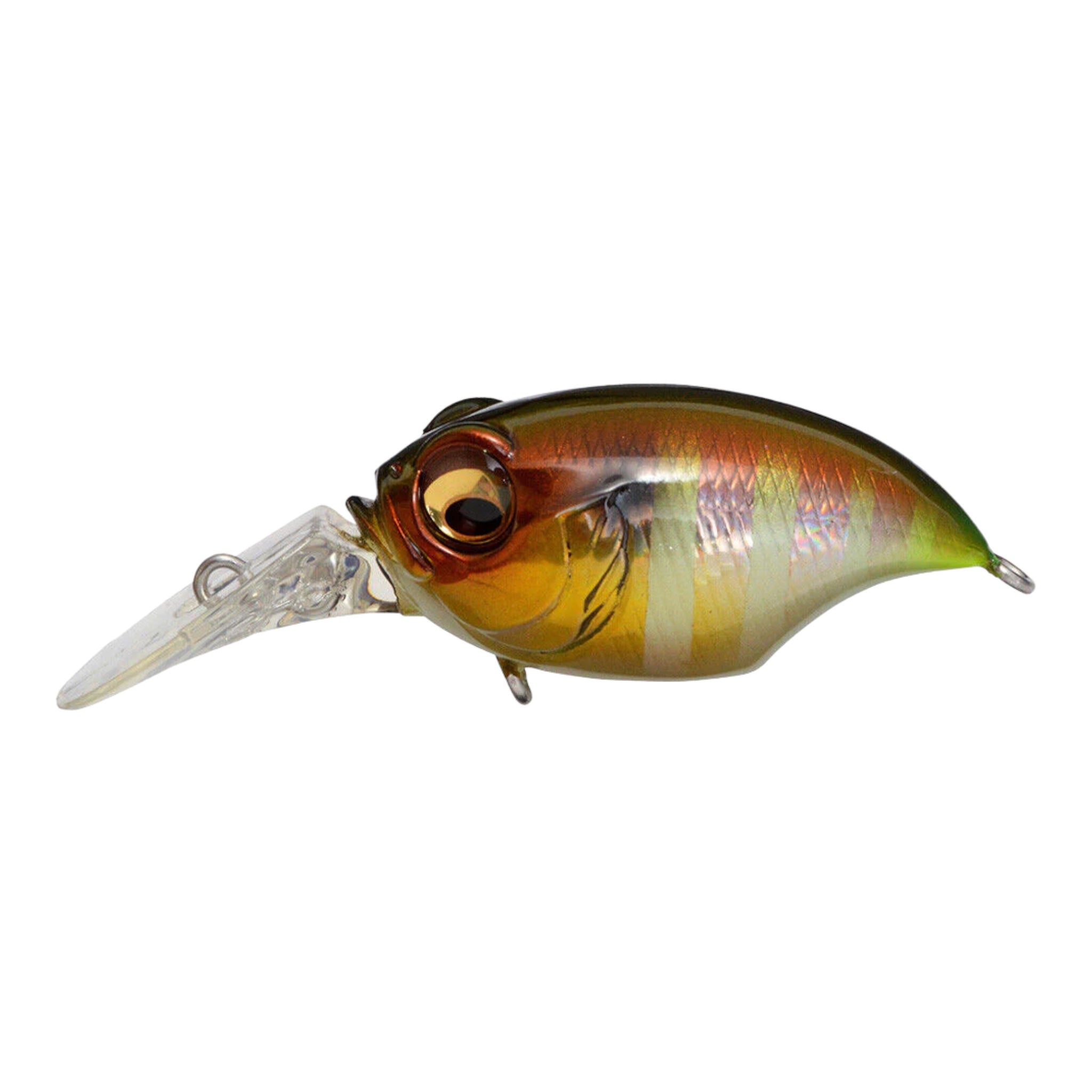 Megabass MR-X Griffon – Three Rivers Tackle