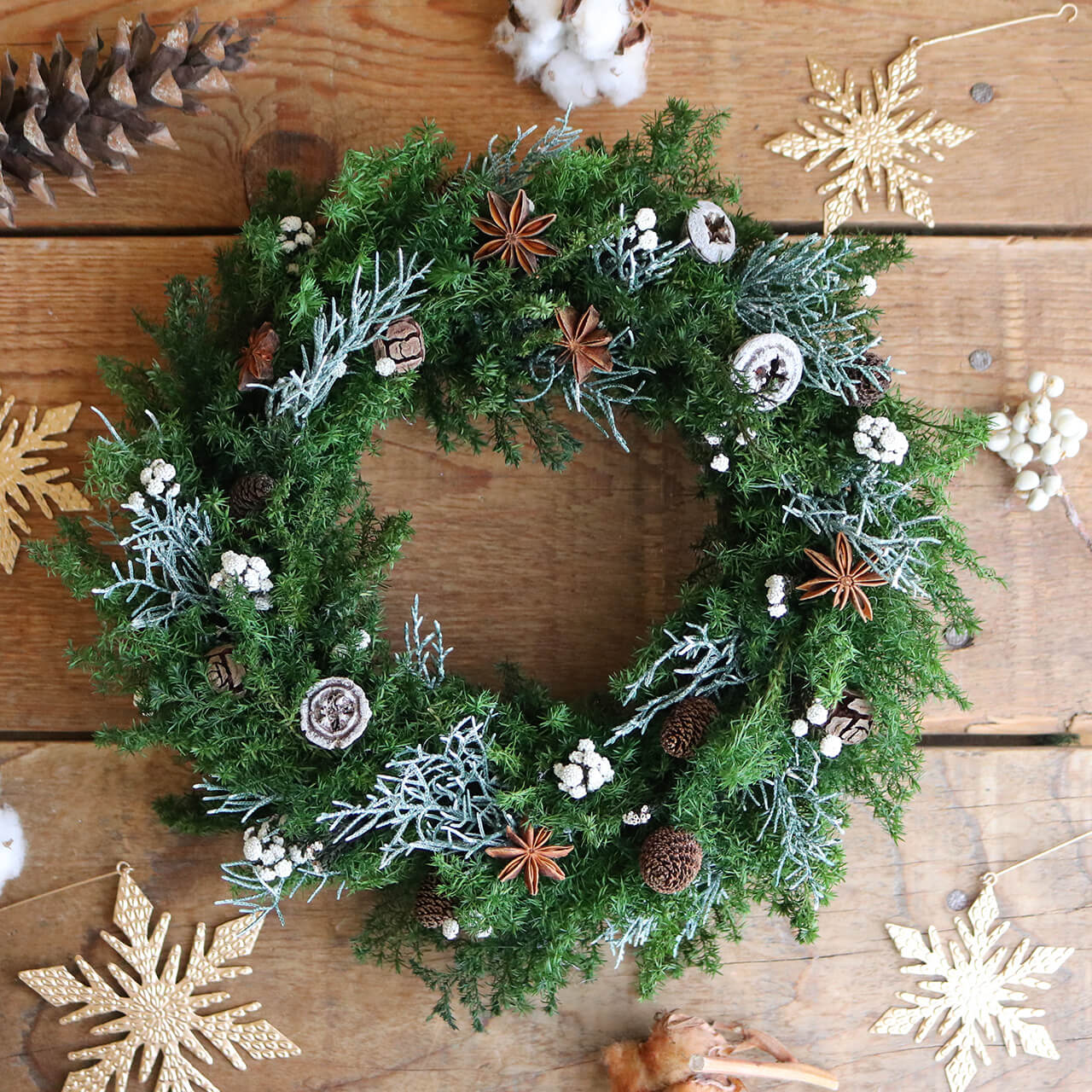 楽天市場】針葉樹 リースの通販