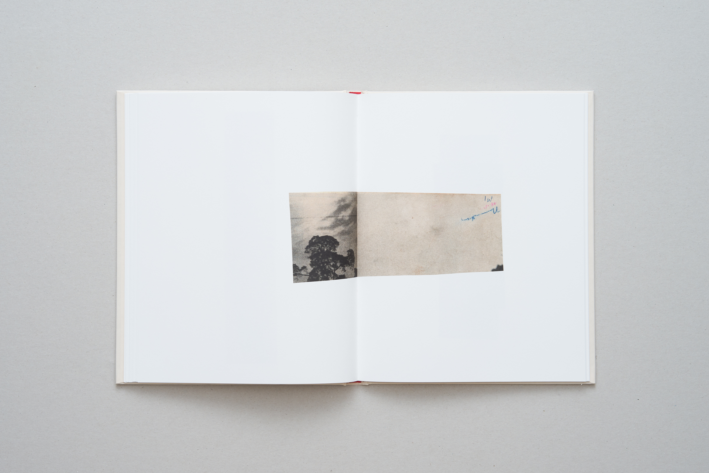 Katrien De Blauwer — Why I Hate Cars — Book — Tony Cederteg