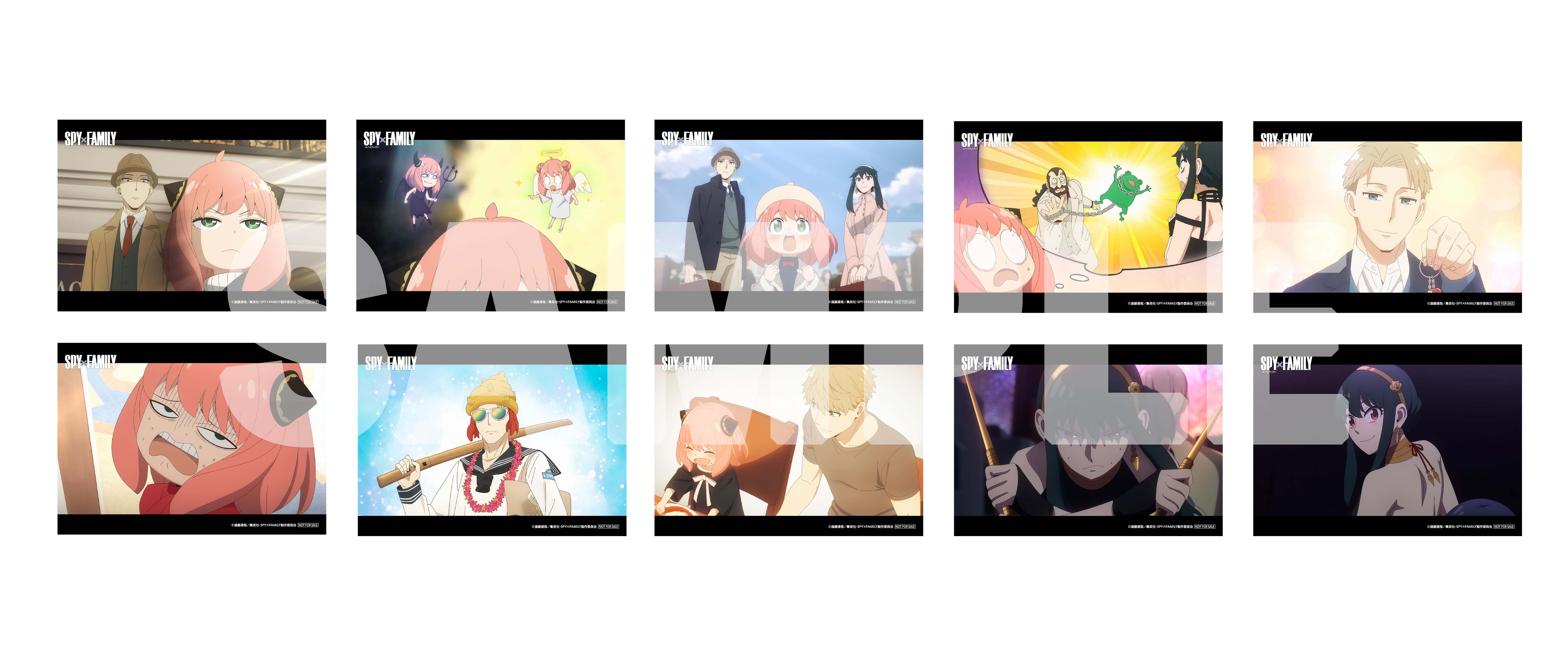 公式オンラインストア『SPY×FAMILY』Season 2 Vol.2 初回生産限定版