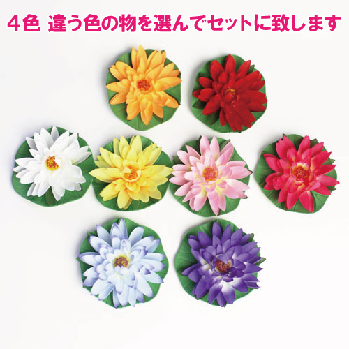 すいれん花かざり(大) 4個セット【色見計らい】 | 杜若園芸WEB