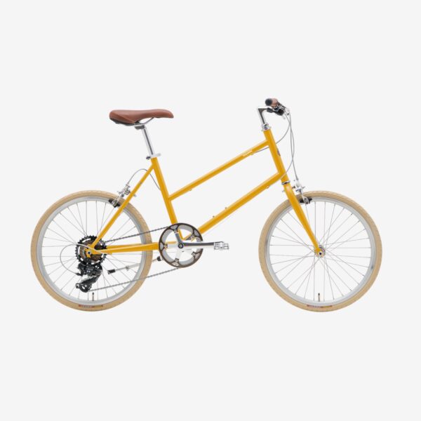 thu_calin_mustard-Photoroom-