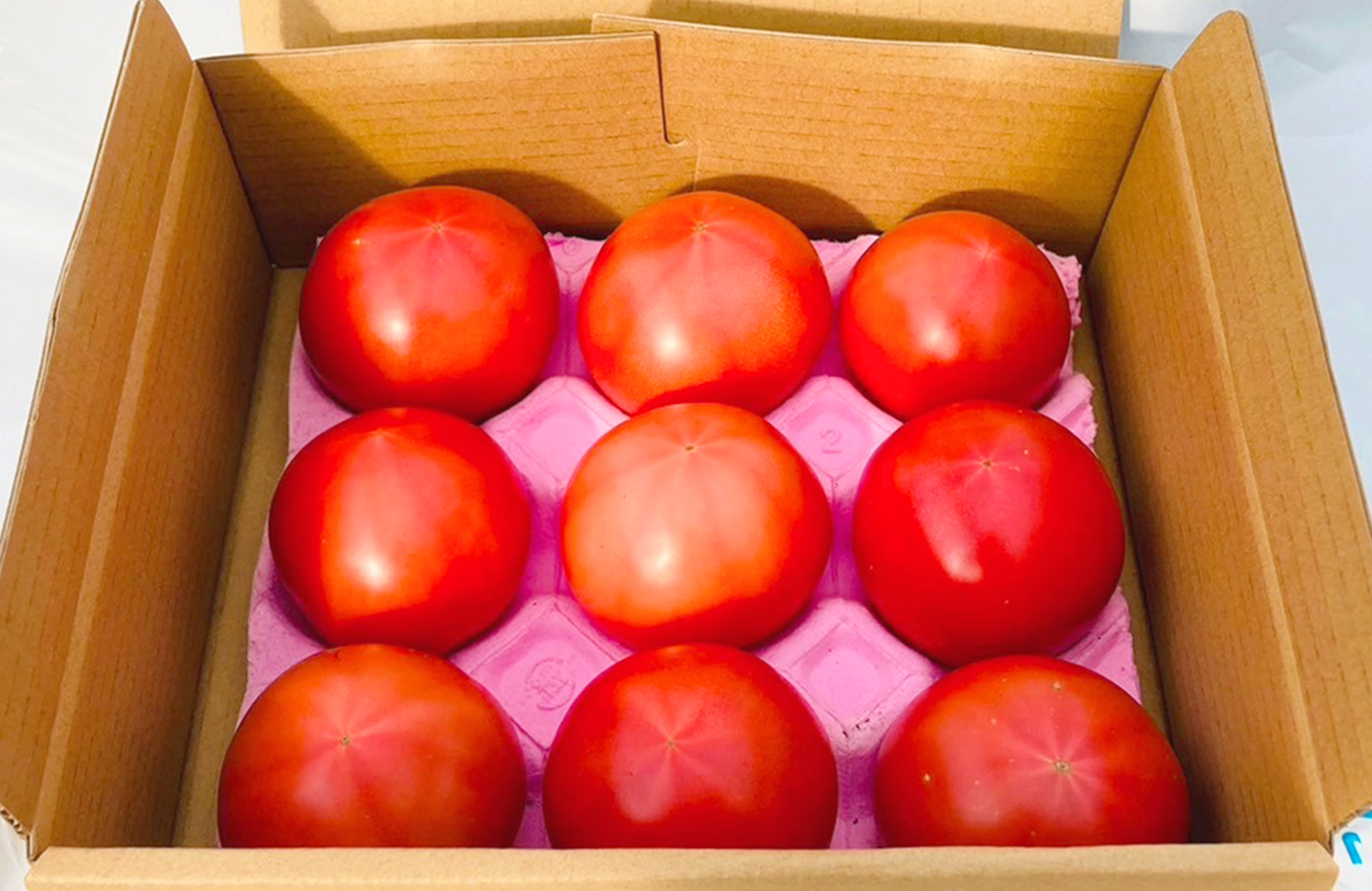 大分県産トマト 2kg - 大分県産で農家直送のトマトなら『トマト屋とらや』