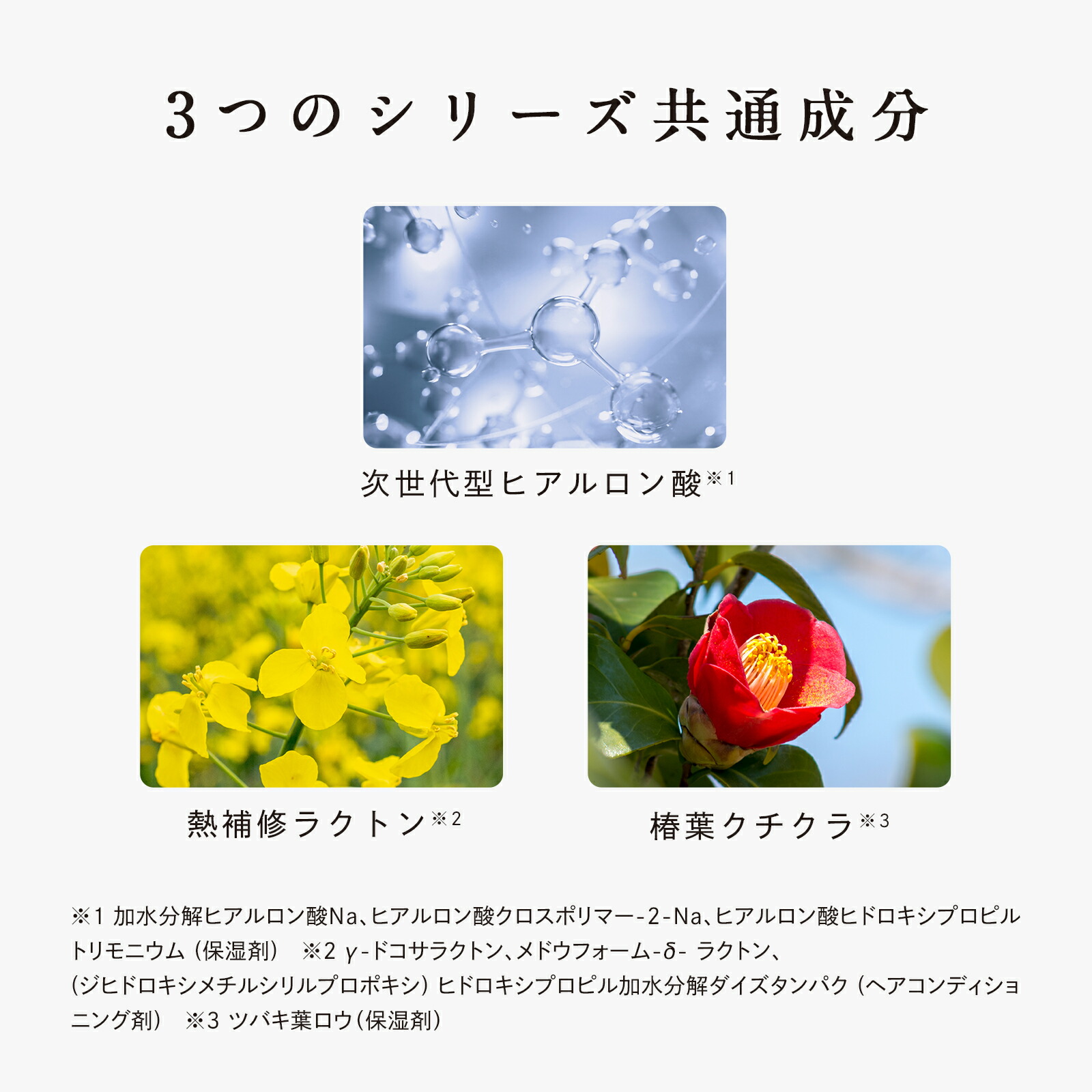 楽天市場】【ボトル2点セット】リファビューテックシャンプー 500mL