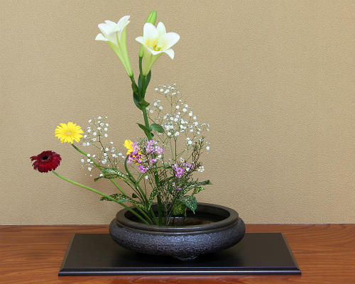 楽天市場】信楽焼 水盤 万年青丸 11号 (gild) 生け花 花器 池坊 小原流