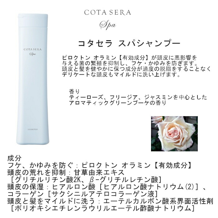 楽天市場】＼楽天ランキング入賞／【シャンプー単品】コタアイケア