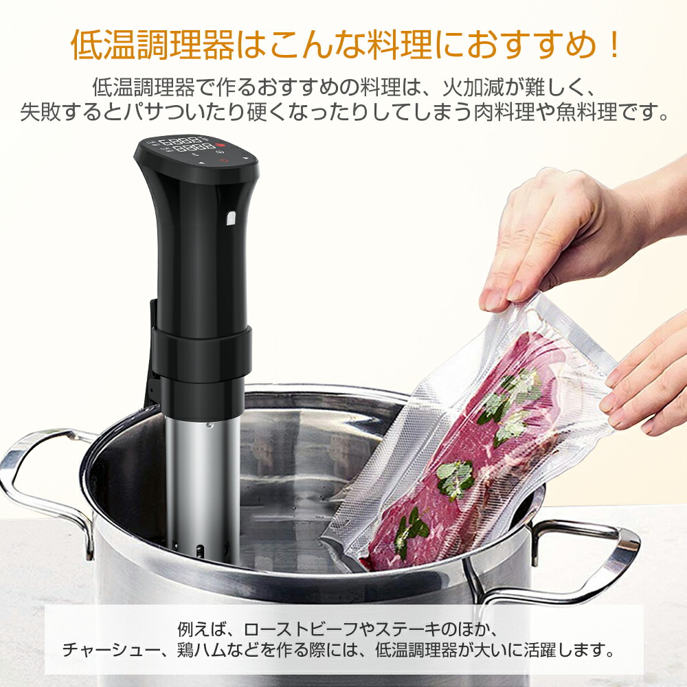 THESPACE 真空低温調理器 NSV500 真空パック・水・温度管理不要