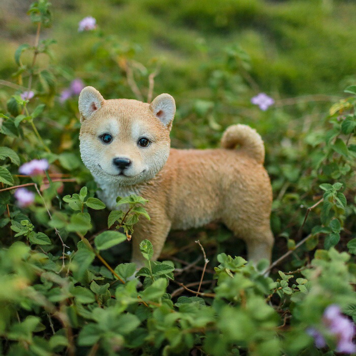 楽天市場】かわいい 犬の置物 高さ18cm 横向き柴犬 グッズ woobia