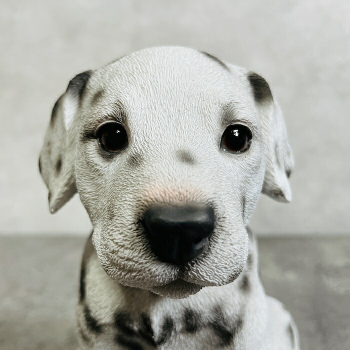 楽天市場】犬 置物 小さい かわいい お座りダルメシアン woobia