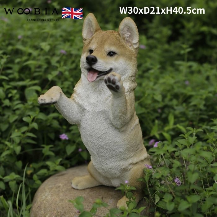 楽天市場】柴犬 置物 大きい 手をあげる柴犬 グッズ 高さ40.5cm woobia