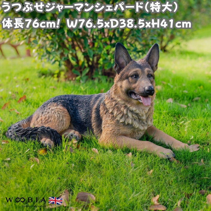 置物 オブジェ 犬 シェパード」の人気商品一覧 | 安い商品を通販サイト