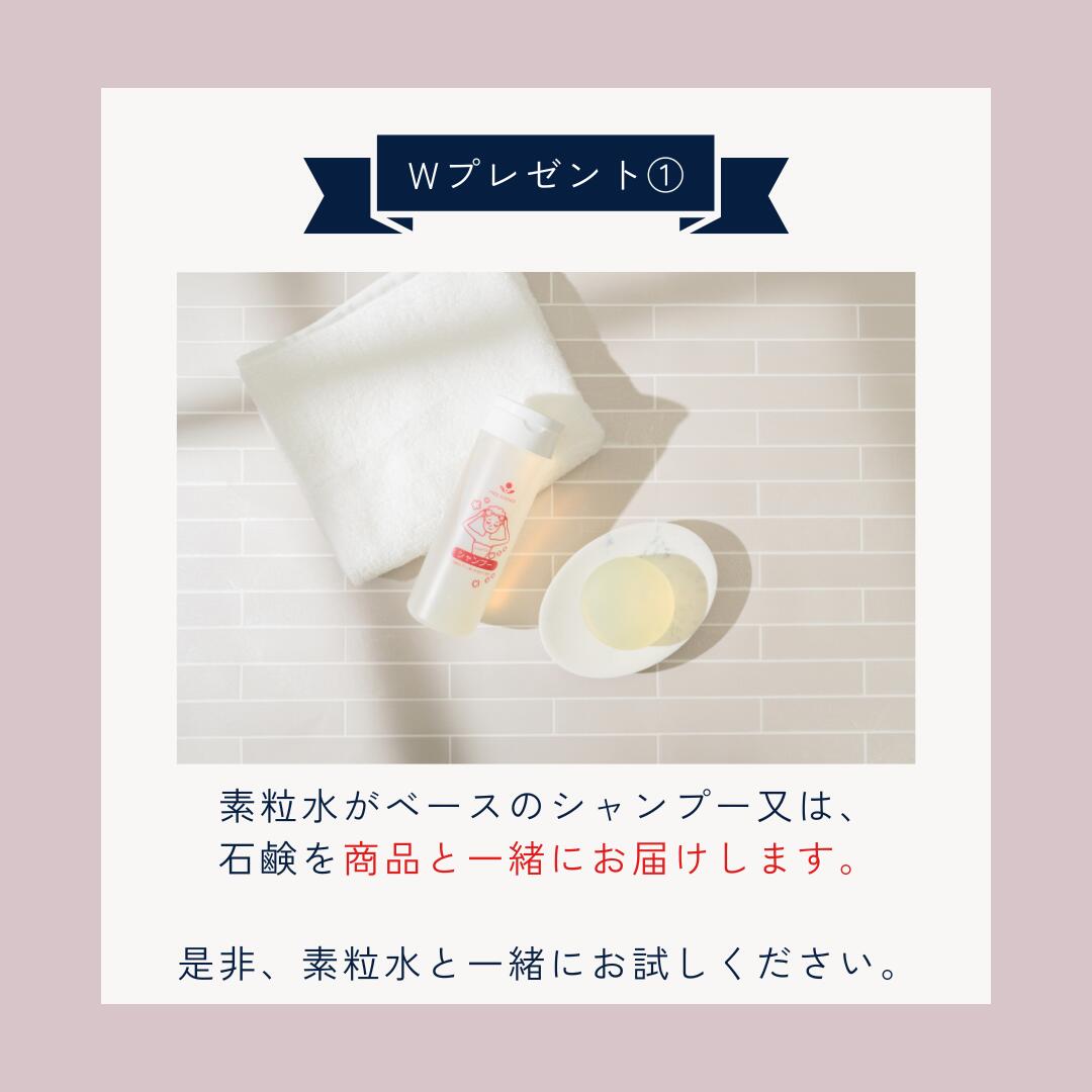 楽天市場】＼楽天3位受賞／【期間限定ポイント10倍☆】2つのプレゼント