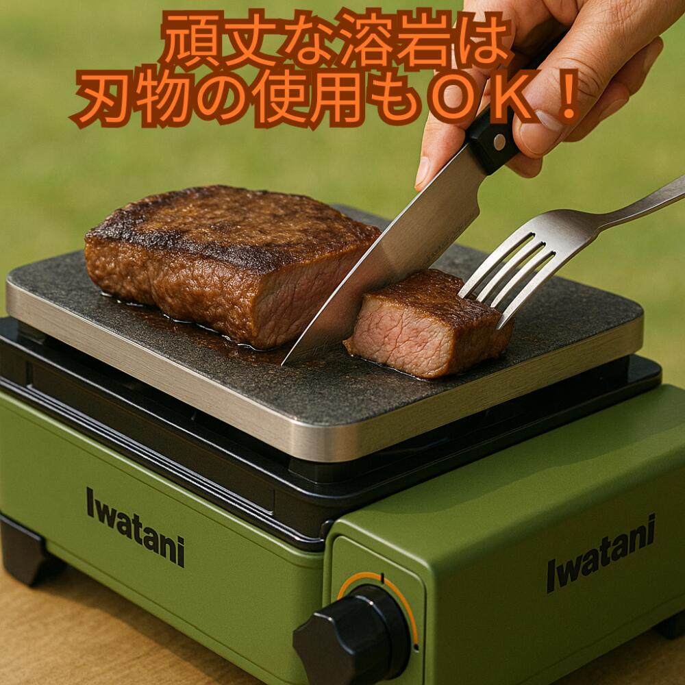 楽天市場】フライパン 溶岩プレート 溶岩石プレート 岩盤 焼肉プレート