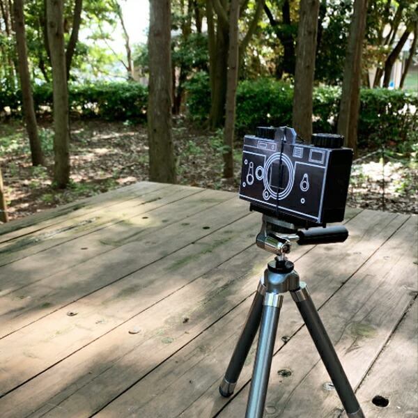 楽天市場】ピンホールカメラ KPC-135 King ペーパークラフト