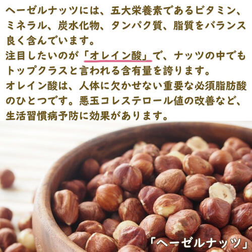 楽天市場】2024年NEW ヘーゼルナッツ苗ロードゼラヌートHazelnut 苗木