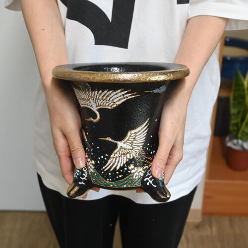 楽天市場】現品 高級 国産 万年青鉢 鶴 京楽焼 6号 植木鉢 オモト ツル