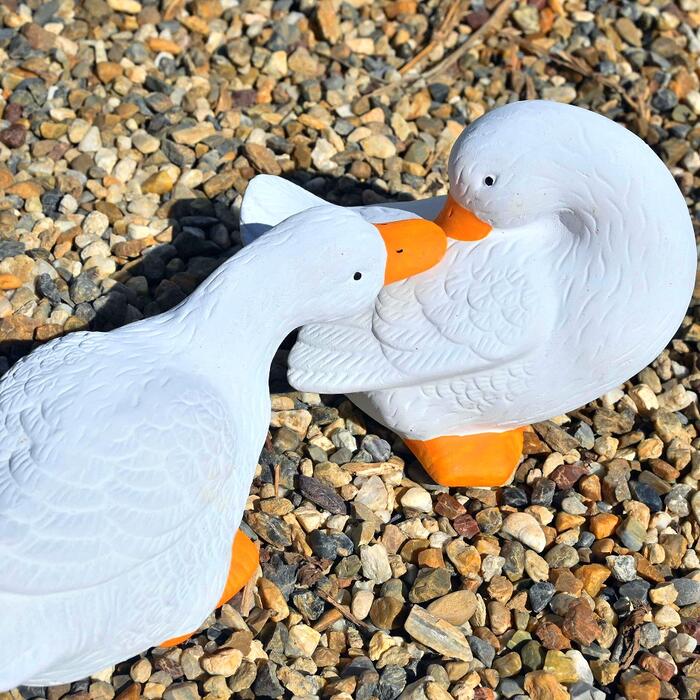 楽天市場】アヒル 2個セット置物 かわいい置物 アヒルの置物陶器 白く