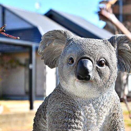 楽天市場】コアラ リアルなコアラコアラの置物 置物 かわいい置物子