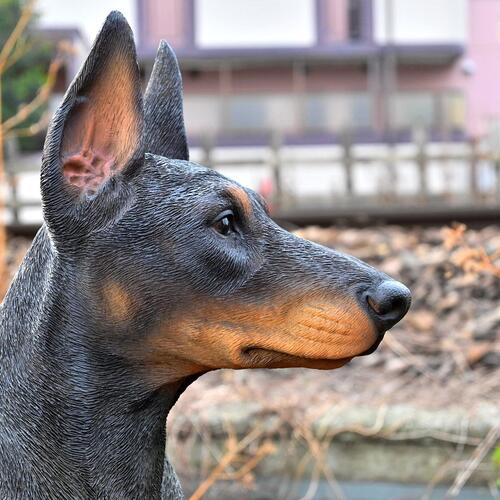 楽天市場】WOOBIA ドーベルマン いぬ 犬の置物ドーベルマンピッシャ