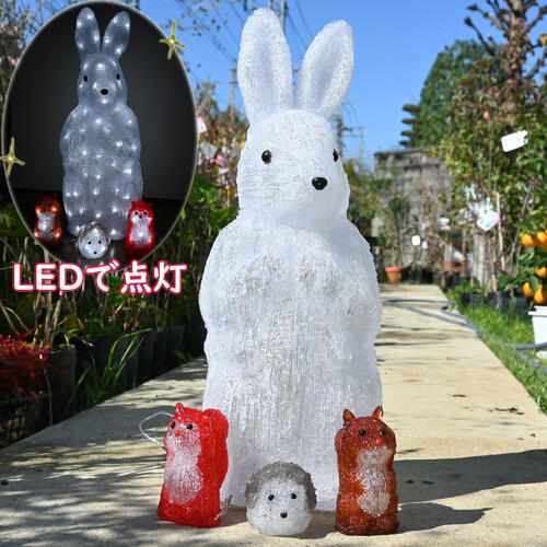 楽天市場】2024年NEW クリスマス うさぎ ハリネズミ リス LED セット