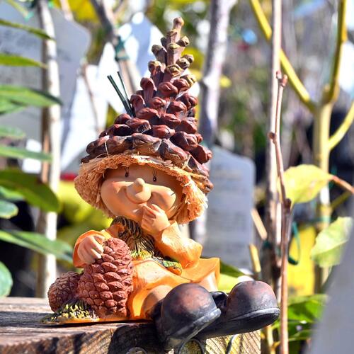 楽天市場】まつぼっくりの妖精置物 かわいい置物 松ぼっくり クルミ