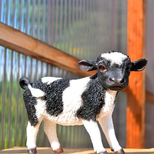 楽天市場】牛 子牛 小物 中置物 リアルな置物 牛の置物お庭や玄関