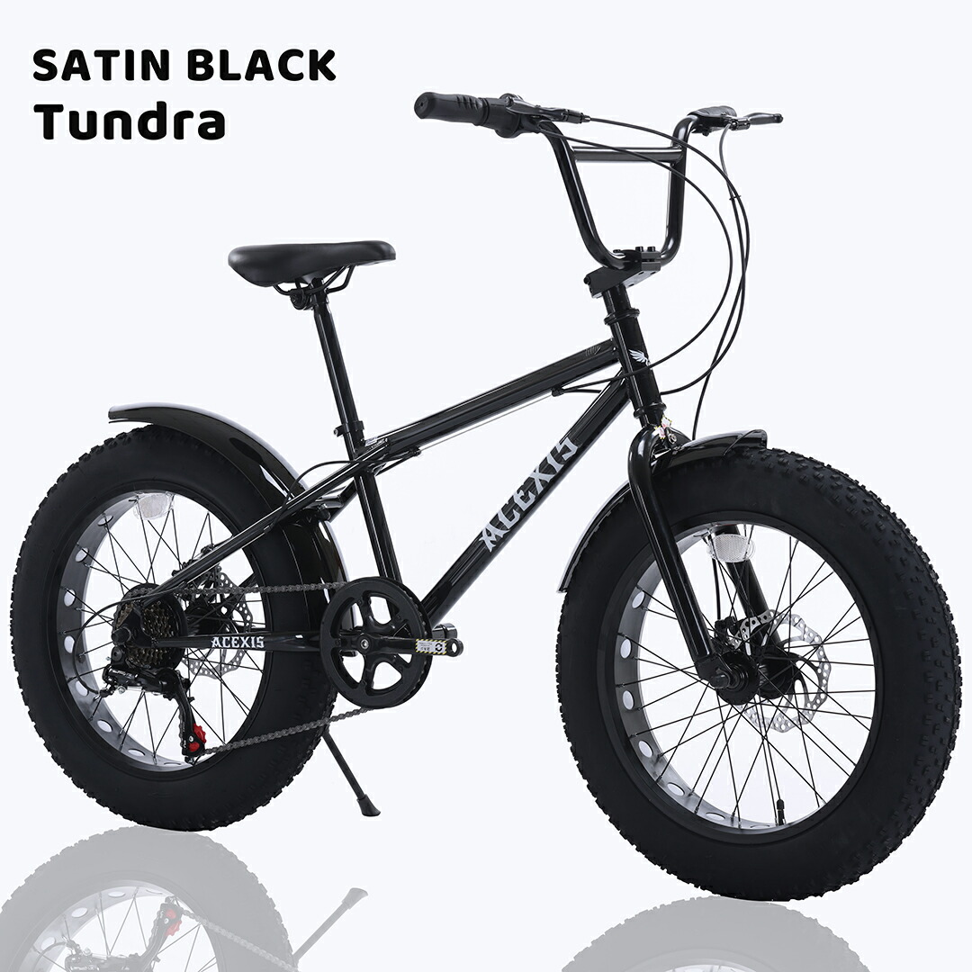 楽天市場】【ポイント5倍実施中！】ACEXIS ファットバイク Fat City