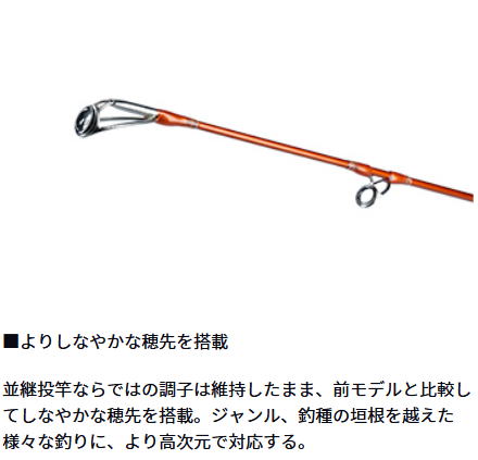 楽天市場】【大型商品（180サイズ）】 【ダイワ】20 キャスティズム 27