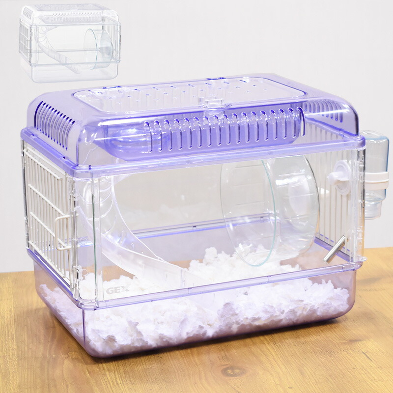 楽天市場】[セット] GEX クリアフロント30 クリスタル / ラベンダー