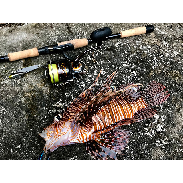 楽天市場】モンスターキス ディアモンスター MX-7S : アングラーズ