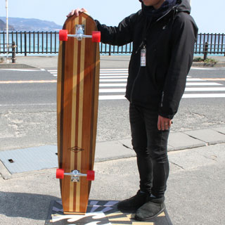 楽天市場】【スーパーセール ポイント 最大22倍 半額あり】 サーフ