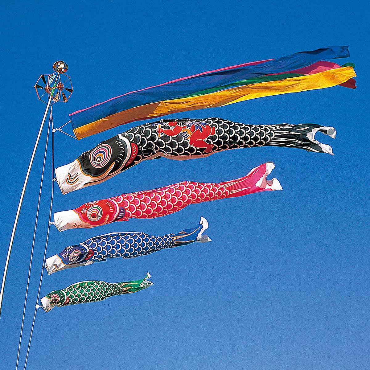 こいのぼり 太郎鯉」の人気商品一覧 | 安い商品を通販サイトから探す