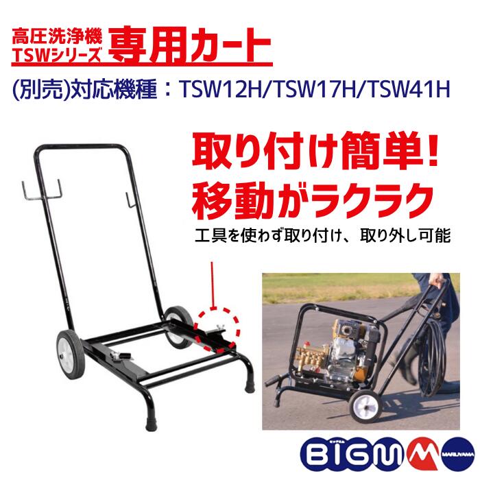楽天市場】丸山製作所 BIG-M ＜ 高圧洗浄機 TSW12H ＞ : 丸山製作所