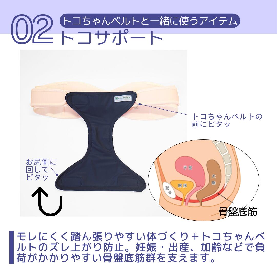 楽天市場】10％OFF 【LINEクーポン】 Lトコちゃんベルト2 オフホワイト