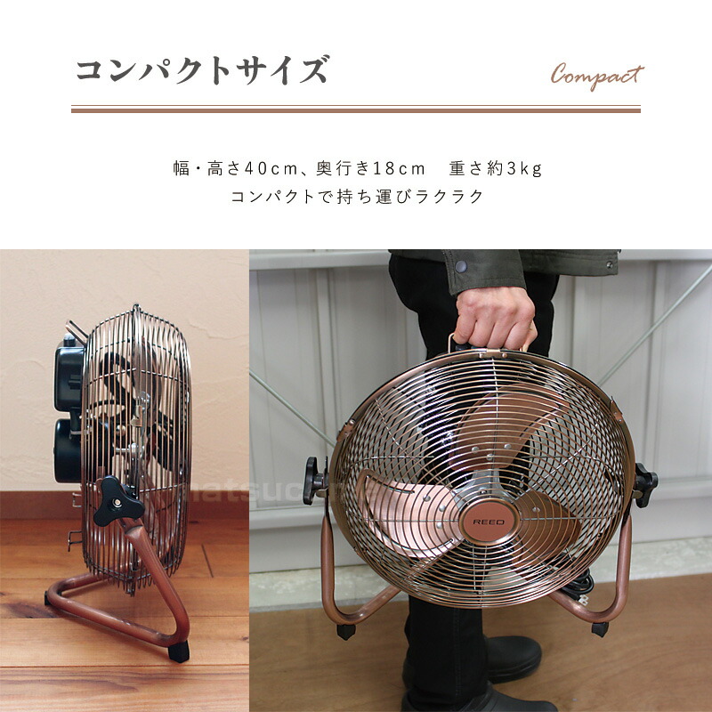 楽天市場】【P最大47倍&クーポン】【選ぶ景品】 REED デザイン 扇風機