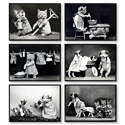 楽天市場】A4ポスター 動物モノクロ 6点セット マットコート紙