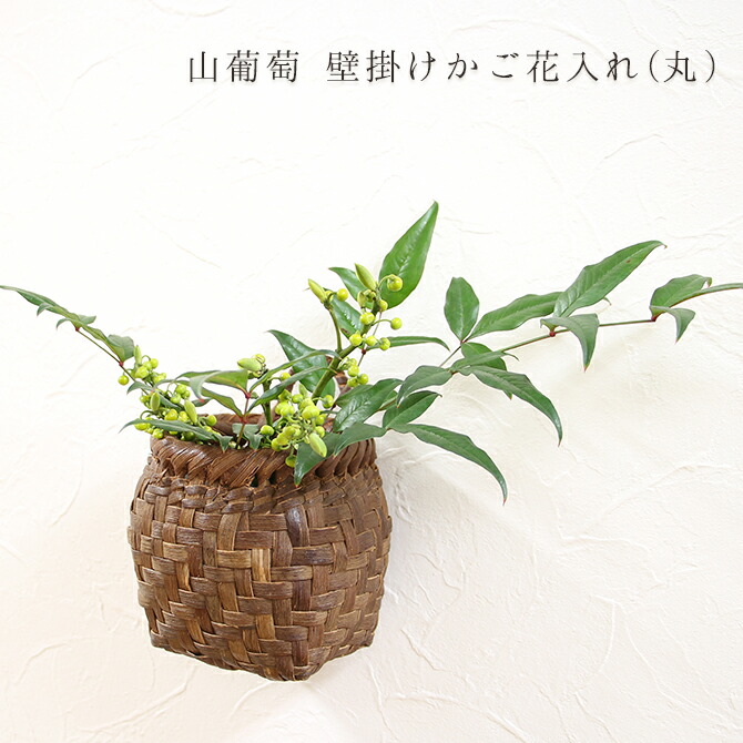 楽天市場】山葡萄 壁掛け かご 花入れ 丸壁掛け 一輪挿し 籠 花籠 掛け