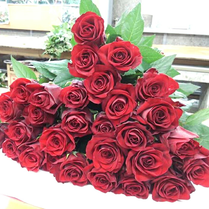 楽天市場】予約販売 バラ苗 バラ新苗 激愛 契約品種 薔薇 ばら 国産苗