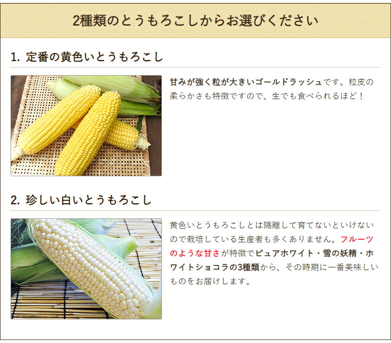 楽天市場】新潟産とうもろこし（黄色）約2kg 窪田梨果園【朝採り/産地